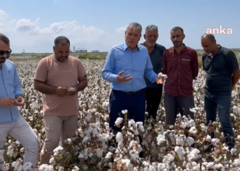 CHP’li Ayhan Barut pamuk üreticileriyle görüştü