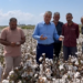 CHP’li Ayhan Barut pamuk üreticileriyle görüştü