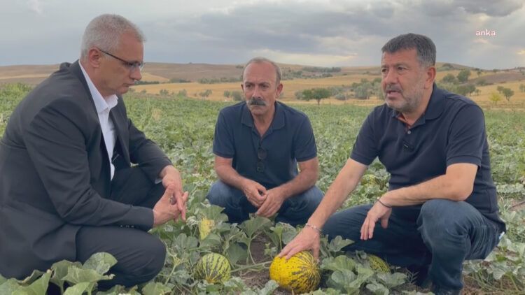 Ağbaba: “Böyle devam ederse gelecek yıl Türkiye’de kimse ekip biçmeyecek”