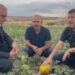 Ağbaba: “Böyle devam ederse gelecek yıl Türkiye’de kimse ekip biçmeyecek”