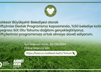 Balıkesir Büyükşehir’den çiftçiye yüzde 50 hibeli süt otu tohumu