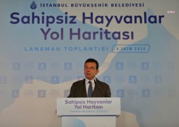 İmamoğlu: “Tek bir sokak hayvanının bile uyutulmasına asla izin vermeyeceğiz”