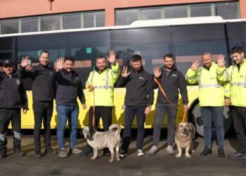 İETT’nin “patili dostlar” ailesi büyüyor