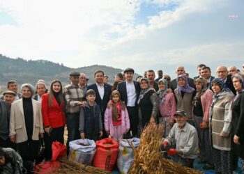 Balıkesir Büyükşehir Belediyesi’nden susam üreticisine destek