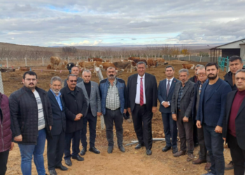 Gürer: “Üretici ayakta kalmakta zorlanıyor”