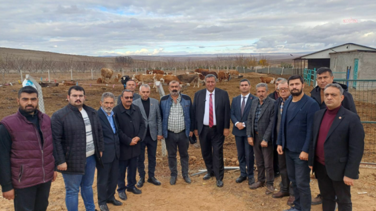 Gürer: “Üretici ayakta kalmakta zorlanıyor”