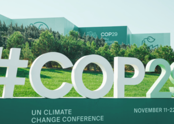Türkiye’nin Uzun Dönemli İklim Stratejisi, BM İklim Zirvesi COP29’da ilan edilecek