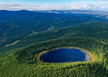Dünya Ormancılık Endüstrisi Konferansı’nda toplam 2,7 milyar dolarlık anlaşma imzalandı
