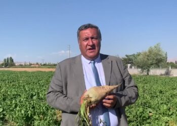 CHP’li Gürer’den Bakan Bolat’ın açıklamalarına tepki