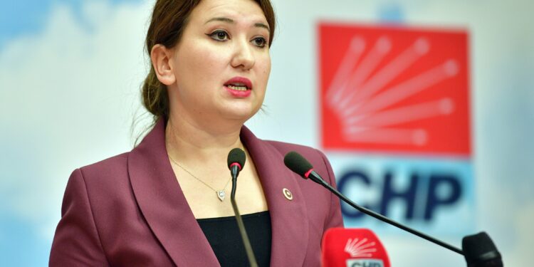 CHP’li Gökçen’den “Narin Güran” kararına ilişkin açıklama