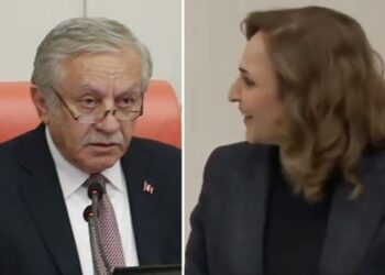 MHP’den DEM’e Meclis’te Kürtçe izni
