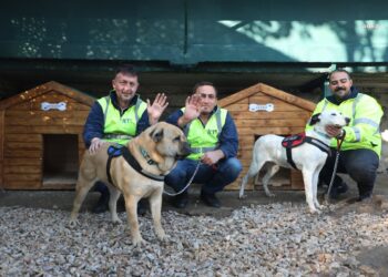 İETT’nin patili dostlar ailesi büyüyor
