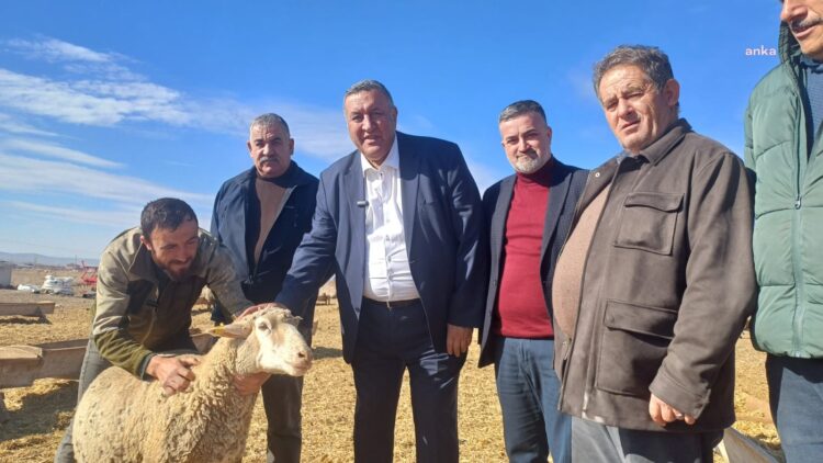 Gürer: Küçükbaş hayvancılık desteklenmeli