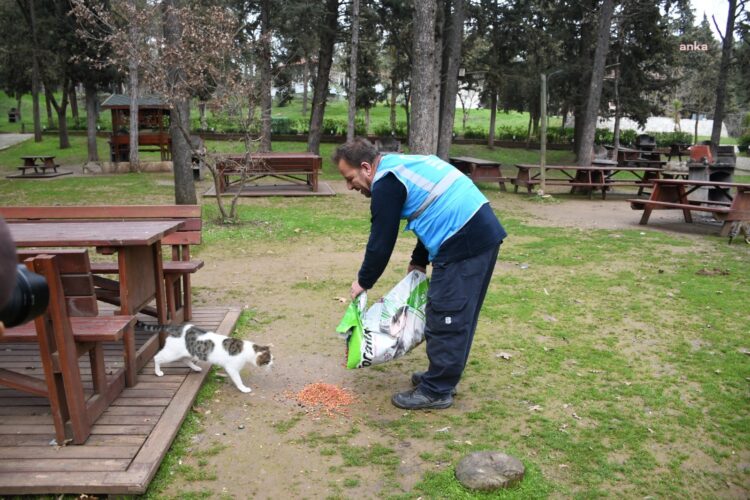 Balıkesir Büyükşehir Belediyesi, kış döneminde de sokak hayvanlarına mama dağıtıyor