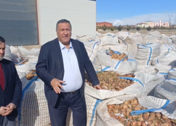 Gürer: Eksik planlama nedeniyle patates ve soğanlar çöp oldu