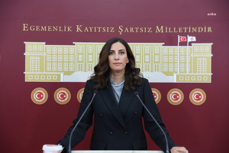 DEVA Parti’li Rızvanoğlu’ndan İklim Kanunu Teklifi’ne tepki