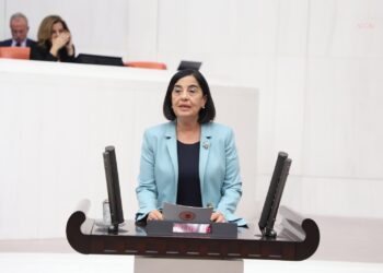 CHP’li Süllü’den Açıköğretim Fakültesi için araştırma önergesi