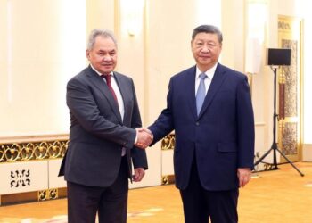 Xi, Rusya Federasyonu Güvenlik Konseyi Sekreteri Şoygu ile görüştü