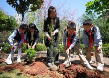 Çin’de 2024’te 4,45 milyon hektar alan ağaçlandırıldı