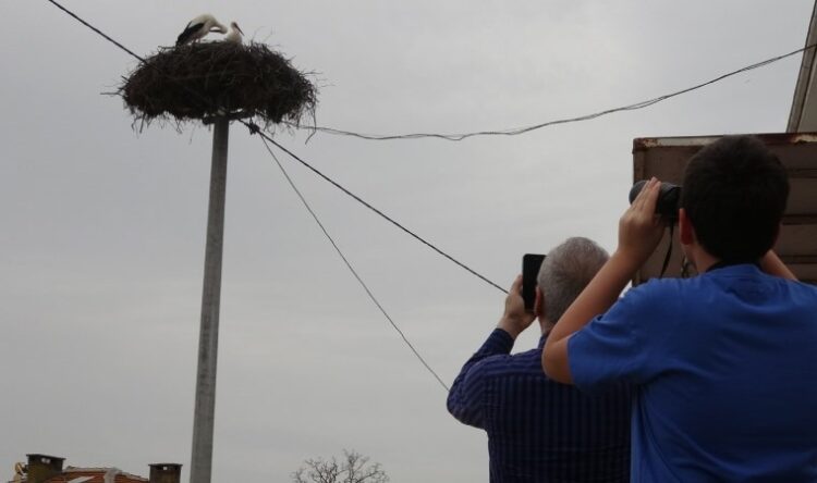 Yaren leyleğin geldiğini duyanlar köye akın etti!