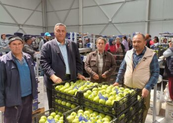 Gürer’den ‘zirai don’ açıklaması