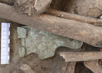 Viyana’da ‘Roma Dönemi’ne ait toplu mezar bulundu