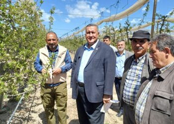 Gürer’den Niğde’deki zirai dona ilişkin açıklama