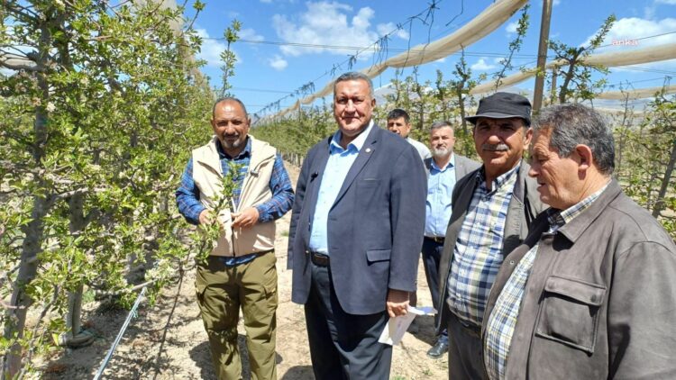Gürer’den Niğde’deki zirai dona ilişkin açıklama