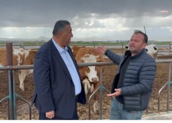 CHP’li Gürer: “İthalattan vazgeçilmeli, üretici desteklenmeli”