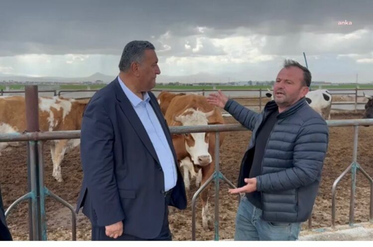 CHP’li Gürer: “İthalattan vazgeçilmeli, üretici desteklenmeli”