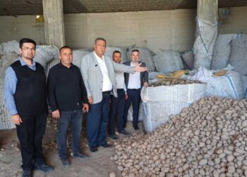 CHP’li Gürer, patates üreticilerinin sorunlarını dinledi