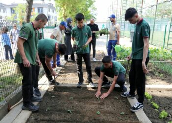 Eyüpsultan Belediyesi, okullarda hobi bahçesi oluşturuyor