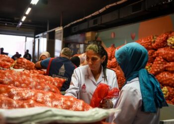 Beyoğlu Belediyesi’nden Hataylı çiftçilere destek