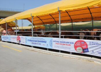 İBB’den Kurban Bayramı için 4 modern tesis…