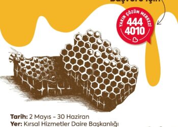 Balıkesir Büyükşehir Belediyesi’nden arı üreticilerine destek