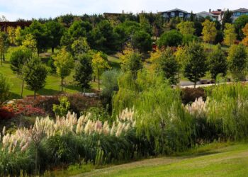 İBB: 2019’dan bu yana kente 2 milyon metrekarelik yeşil alan kazandırıldı