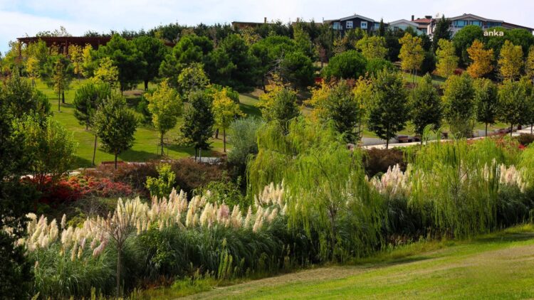 İBB: 2019’dan bu yana kente 2 milyon metrekarelik yeşil alan kazandırıldı