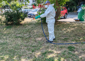 İBB’den kenelere karşı yaz mesaisi…