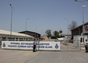 İstanbul, Kurban Bayramı’na hazırlanıyor