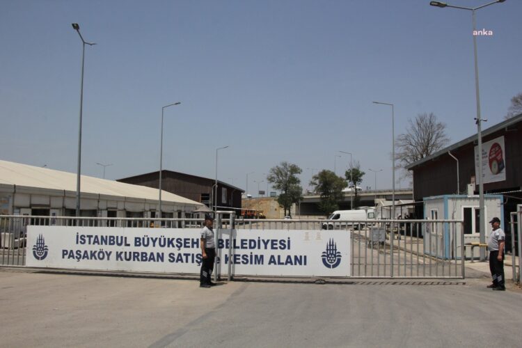 İstanbul, Kurban Bayramı’na hazırlanıyor