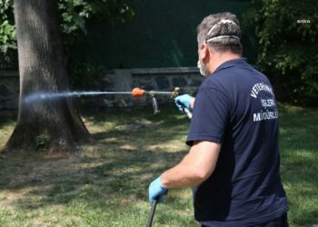 Eyüpsultan Belediyesi’nden 29 mahallede haşereye karşı etkin mücadele