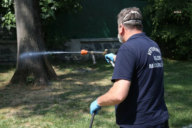 Eyüpsultan Belediyesi’nden 29 mahallede haşereye karşı etkin mücadele