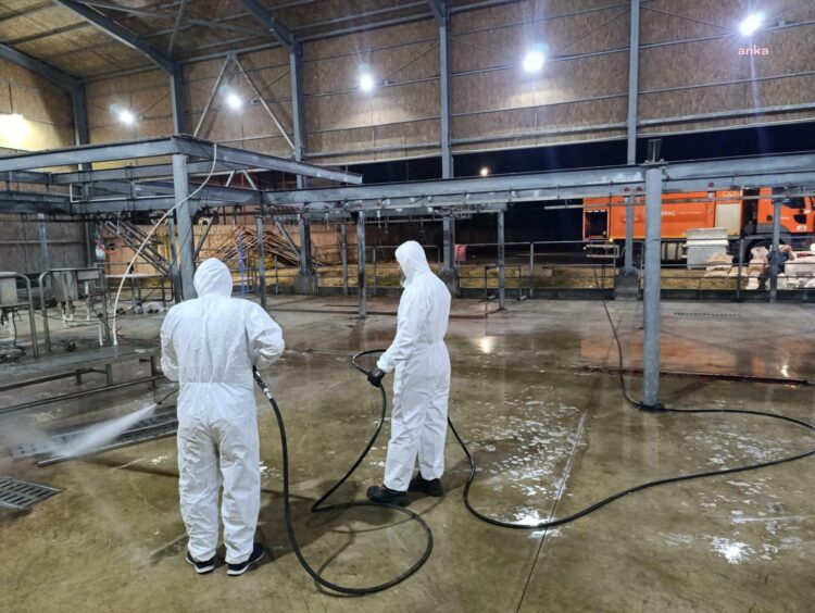 İBB’nin kurban kesim alanlarında hijyen ekipleri bayram boyunca görev başında