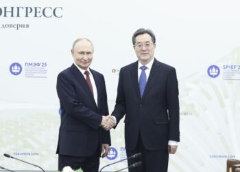 Çin Başbakan Yardımcısı Ding, Rusya Devlet Başkanı Putin ile görüştü