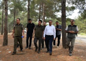 Şanlıurfa’da ormanlık alanlara girişler yasaklandı