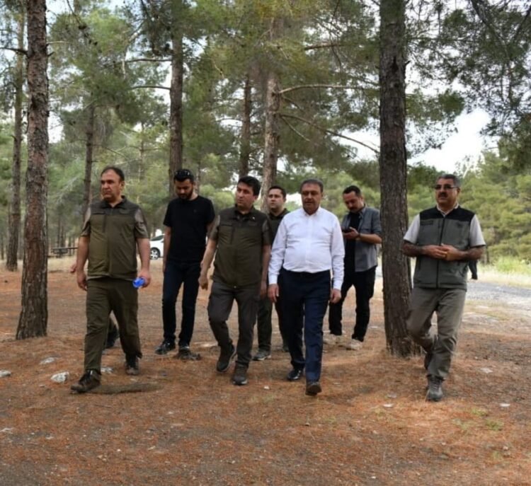 Şanlıurfa’da ormanlık alanlara girişler yasaklandı