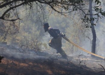 İBB Ekipleri Sakarya ve Bilecik’te orman yangınlarına müdahale desteğini sürdürüyor