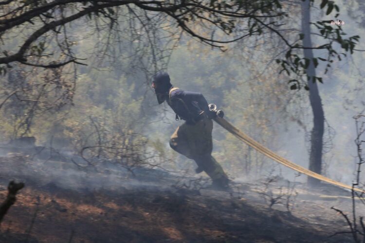 İBB Ekipleri Sakarya ve Bilecik’te orman yangınlarına müdahale desteğini sürdürüyor