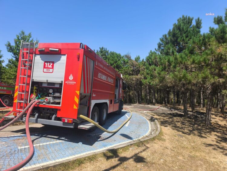 Sultangazi Kent Ormanı’da çıkan yangın kısa sürede kontrol altına alındı