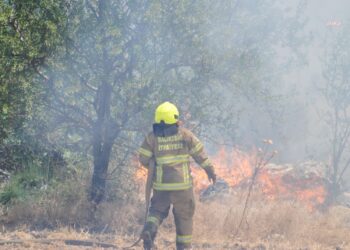 Balıkesir İtfaiyesi, 12 günde 971 yangına müdahale etti